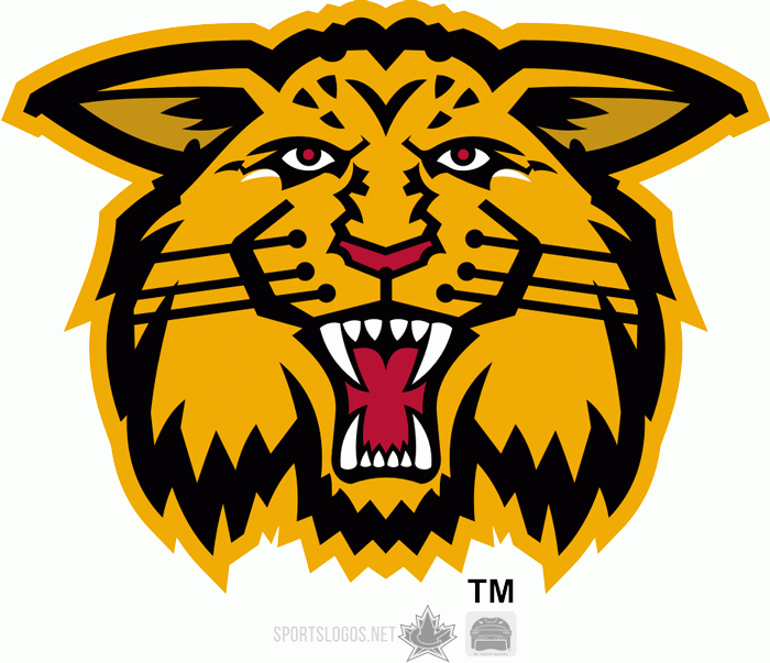 Moncton Wildcats 1998 99-2002 03 Alternate Logo vinyl decal